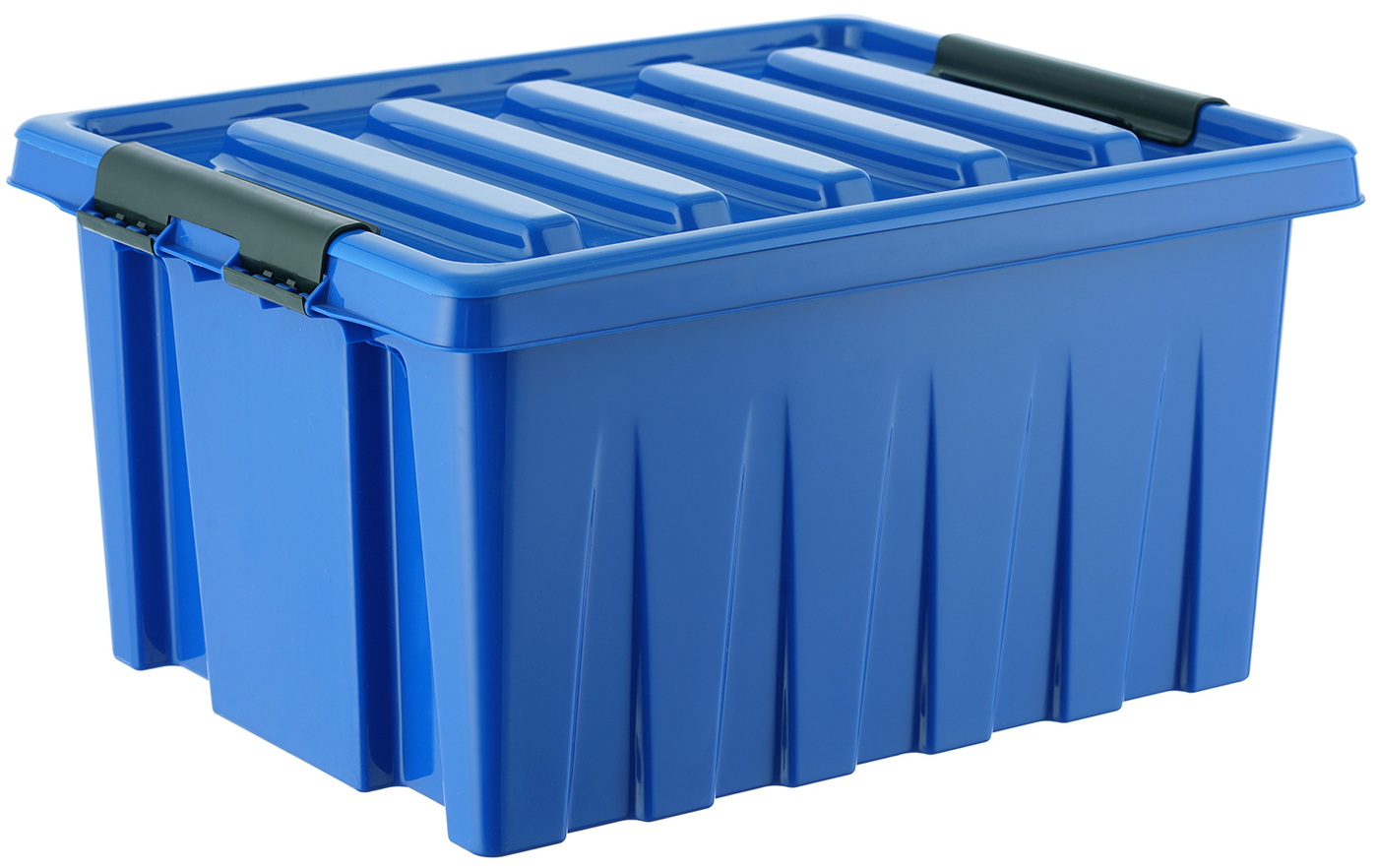 Пластиковые контейнеры купить в спб. Ящик с крышкой синий Rox Box 8л. Контейнер Rox Box с крышкой 39x25x50 см 36 л. Контейнер Rox Box 50 л. Ящик-контейнер для хранения "МХ 417" пластиковый, 20 л, ЗУБР.